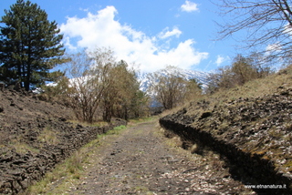 nte Egitto-29-04-2023 11-08-11